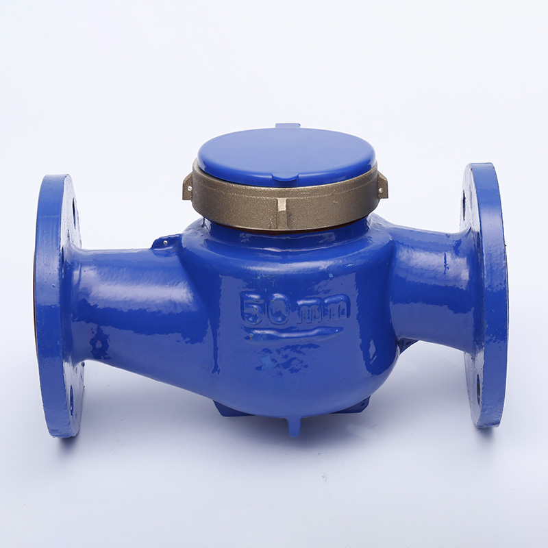 Wie verbessert ein 50-mm-Mehrstrahl-Wasserzähler für Privathaushalte die Effizienz des Wassermanagements?